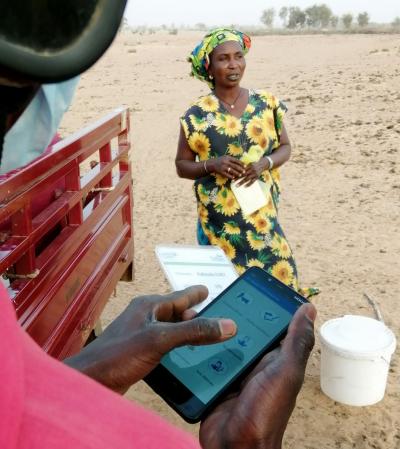 Une application sur smartphone permet de faciliter la collecte de lait auprès des multiples producteurs comme ici au nord du Sénégal © J. D. Cesaro, Cirad